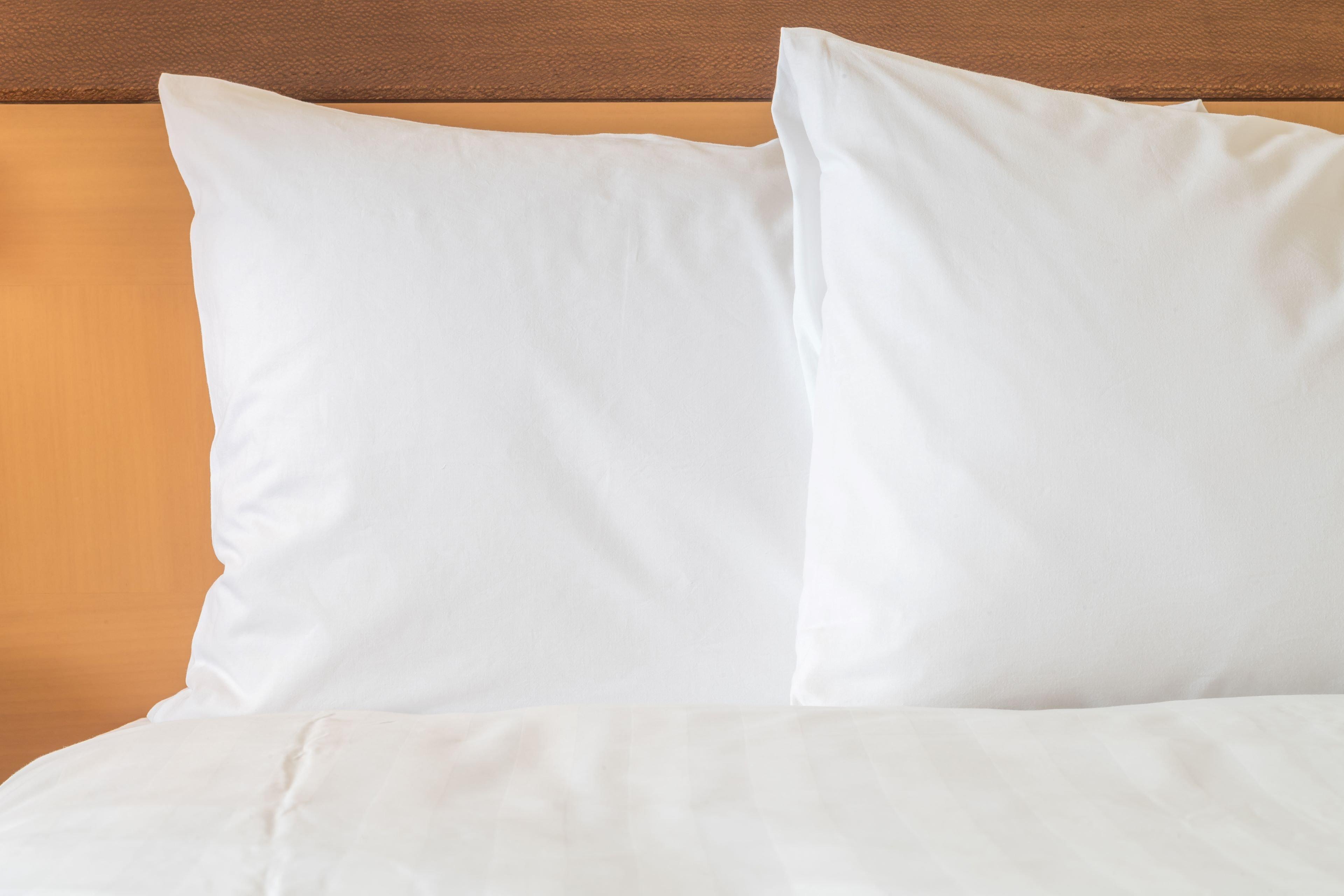 Holiday Inn Express Hotel & Suites Minot South By Ihg Exteriér fotografie